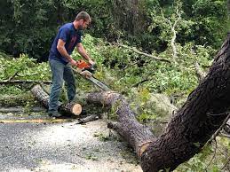 Pendleton, IN Tree Services Company